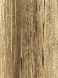 Similar image 286262