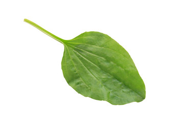 Similar image 286265