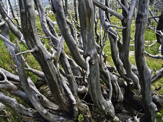 Similar image 286266