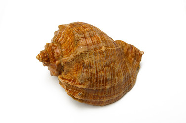 Similar image 286275