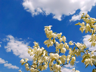 Similar image 286283