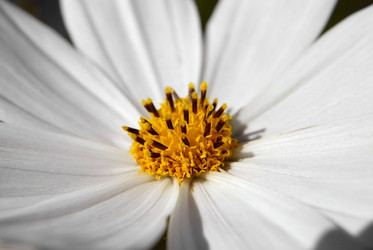 Similar image 286285