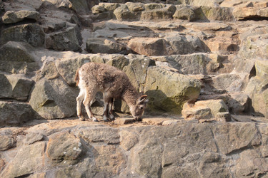 Similar image 286309