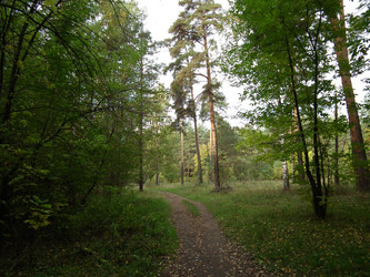 Similar image 286338