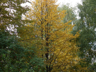 Similar image 286343