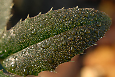 Similar image 286346