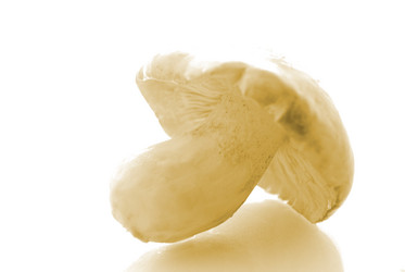 Similar image 286351