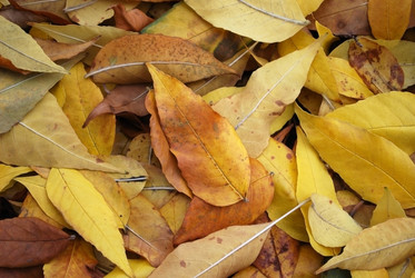 Similar image 286355