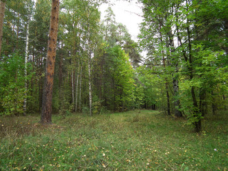 Similar image 286362