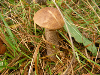 Similar image 286364