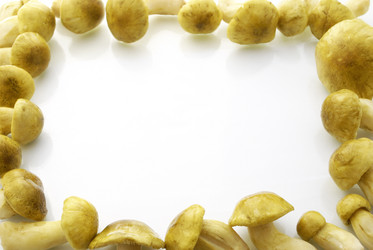 Similar image 286390