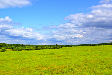 Similar image 286394