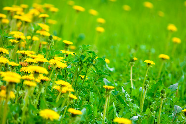 Similar image 286501