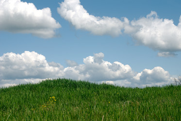 Similar image 286510