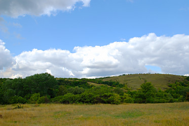 Similar image 286511