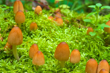 Similar image 286525