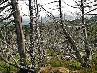 Similar image 286556