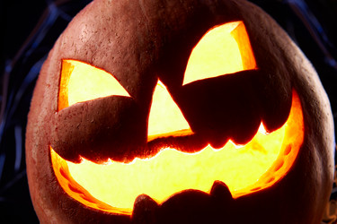 Similar image 286574