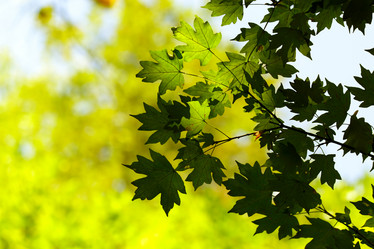 Similar image 286604