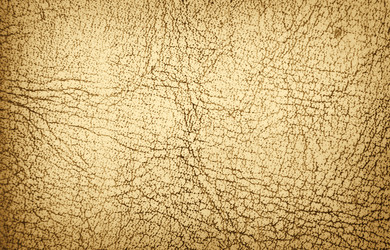 Similar image 286608