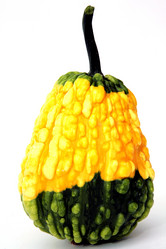 Similar image 286621