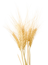 Similar image 286632