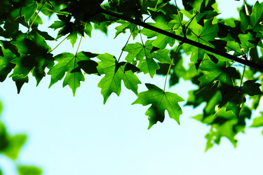 Similar image 286643