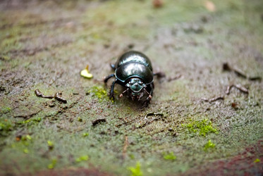 Similar image 286644