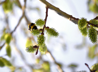 Similar image 286647