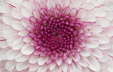 Similar image 286648