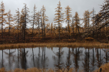 Similar image 286649