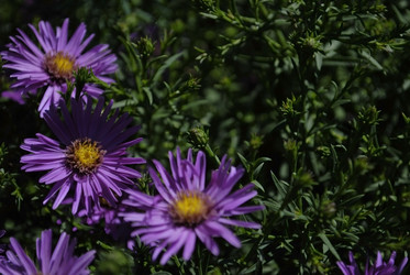 Similar image 286652