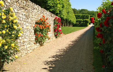 Similar image 286659