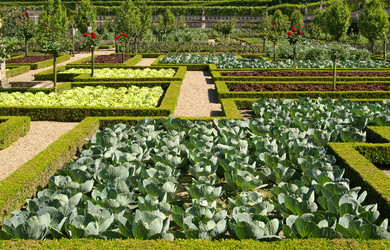 Similar image 286664