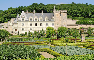 Similar image 286666