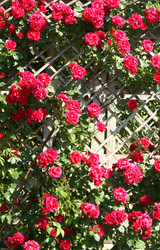 Similar image 286745