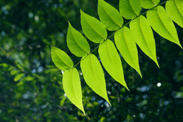 Similar image 286760