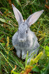 Similar image 286779