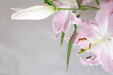 Similar image 286786