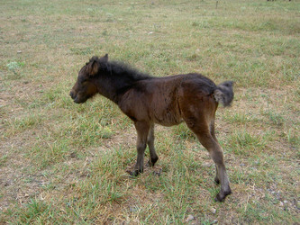 Similar image 286789