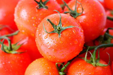 Similar image 286797