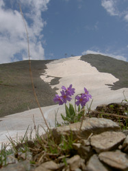 Similar image 286837