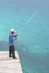 Similar image 286862