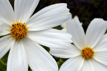 Similar image 286867