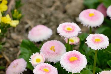 Similar image 286870