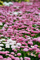 Similar image 286872