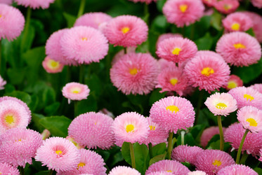 Similar image 286873