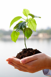 Similar image 286891