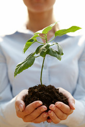 Similar image 286897