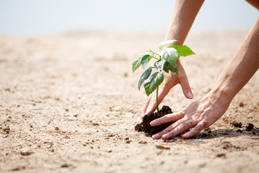 Similar image 286908